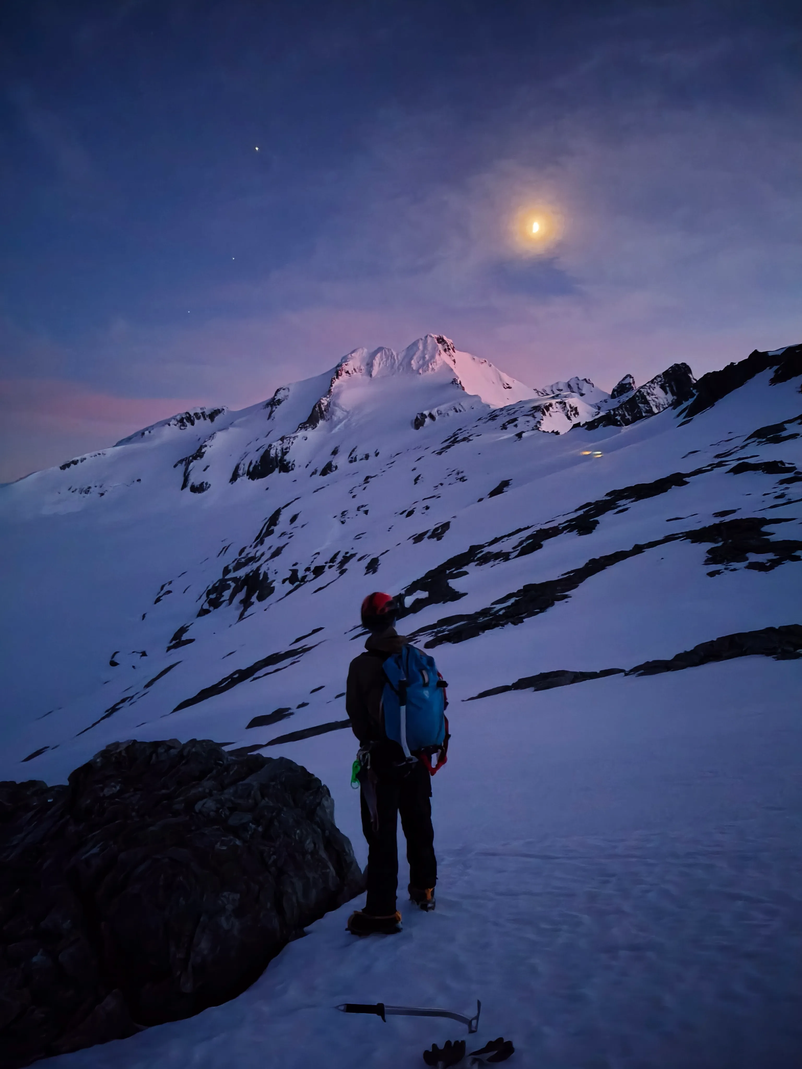 A kea perched on a mountain rock